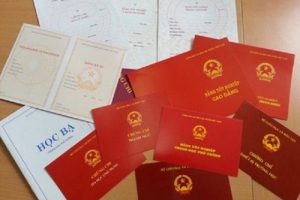 Có nên mua bằng cấp 3 để đi xin việc hoặc được xét tăng lương